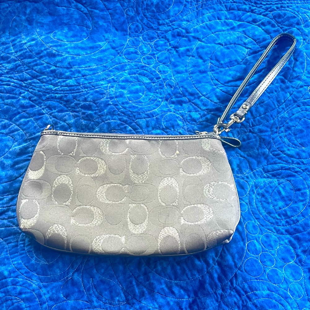 silver Clutch
